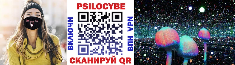 как найти наркотики  Олёкминск  Псилоцибиновые грибы мухоморы 