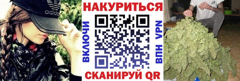 Конопля план  где можно купить наркотик  Олёкминск 